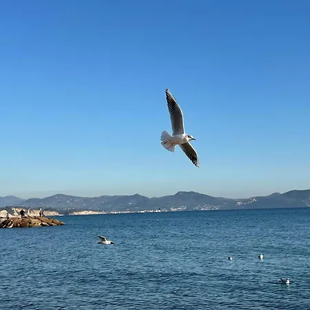 Premieres Loges - Neuf Climatise - Parking Gratuit Et Velos Lägenhet La Ciotat